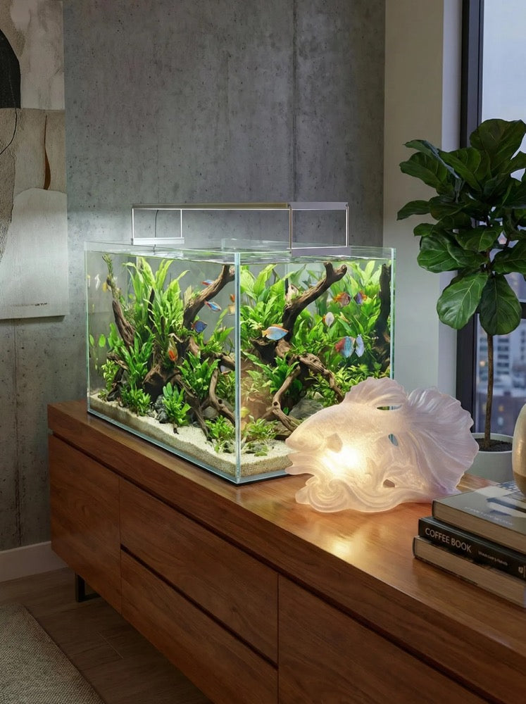 Sculptural Betta Fish Accent Lamp | Whimsical Coastal Bookshelf Decor | Soft Ambient Light